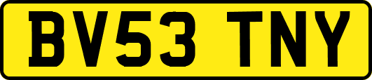 BV53TNY