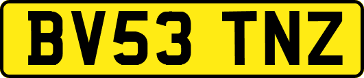 BV53TNZ