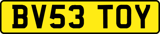 BV53TOY