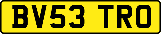 BV53TRO
