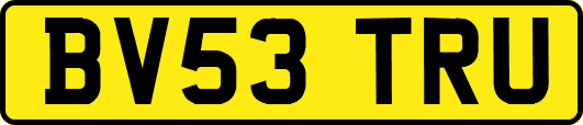 BV53TRU