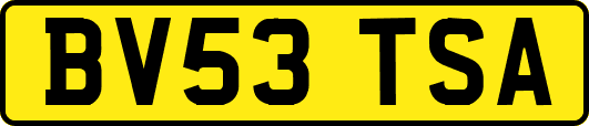 BV53TSA