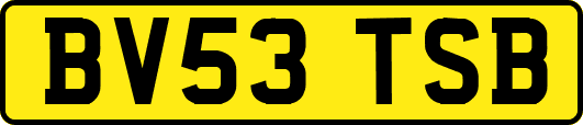 BV53TSB