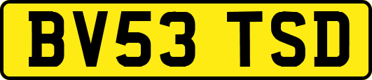BV53TSD