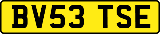 BV53TSE