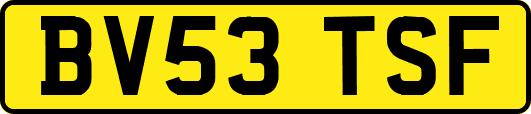 BV53TSF