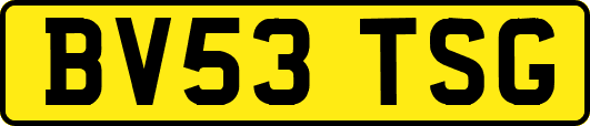 BV53TSG