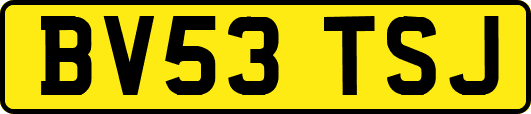 BV53TSJ