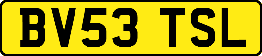 BV53TSL
