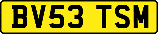 BV53TSM