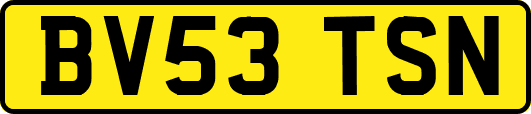 BV53TSN