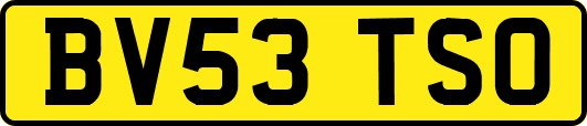 BV53TSO
