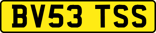 BV53TSS