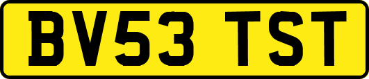 BV53TST