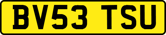BV53TSU