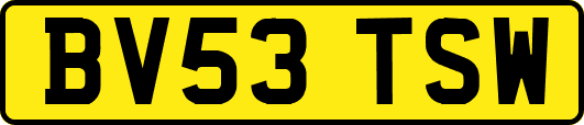 BV53TSW