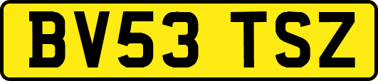 BV53TSZ