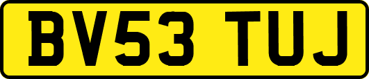 BV53TUJ