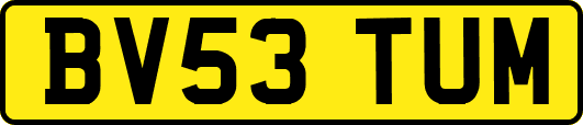 BV53TUM