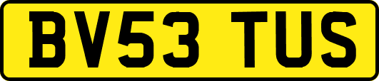 BV53TUS