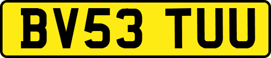 BV53TUU