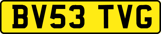 BV53TVG