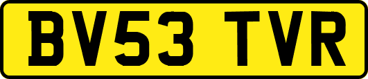 BV53TVR