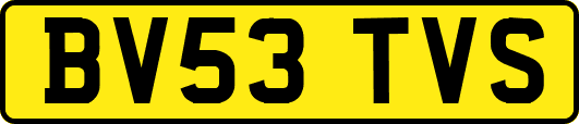 BV53TVS