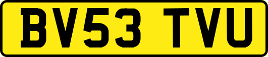 BV53TVU