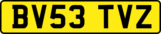 BV53TVZ