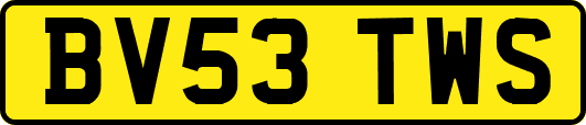 BV53TWS