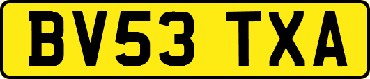 BV53TXA