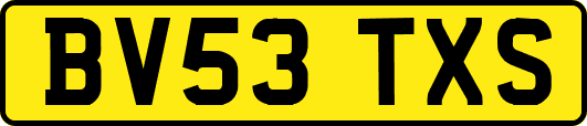 BV53TXS