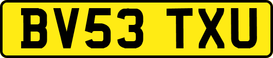 BV53TXU