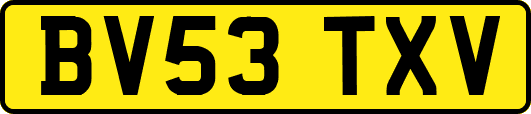 BV53TXV