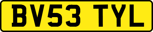 BV53TYL