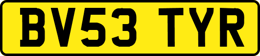 BV53TYR