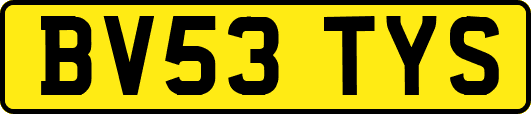 BV53TYS
