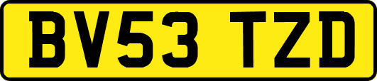 BV53TZD
