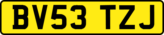 BV53TZJ