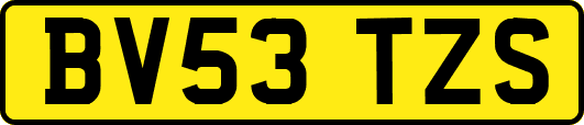 BV53TZS