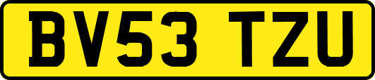 BV53TZU