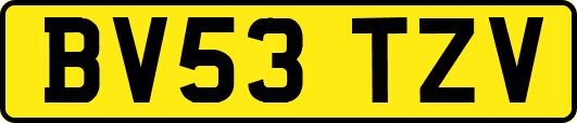BV53TZV