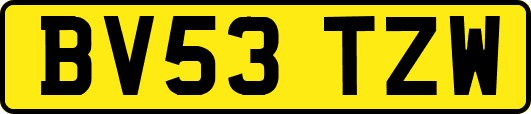 BV53TZW