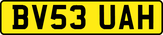 BV53UAH