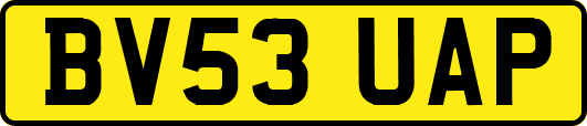 BV53UAP