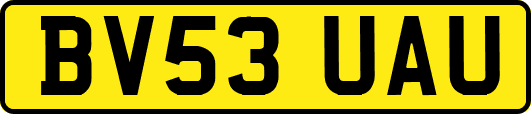 BV53UAU