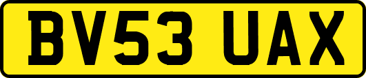 BV53UAX
