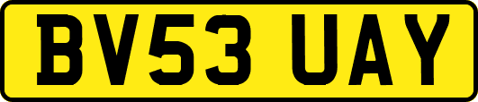 BV53UAY