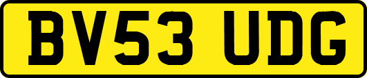 BV53UDG
